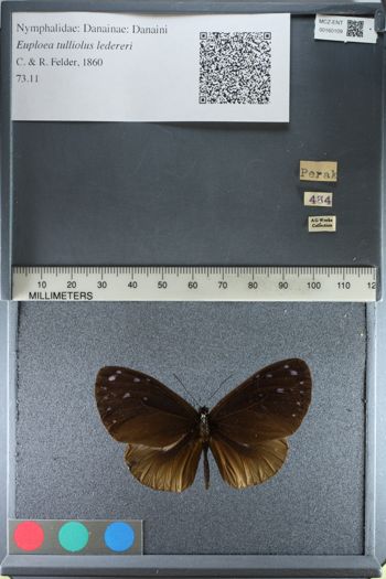 Media type: image;   Entomology 160109